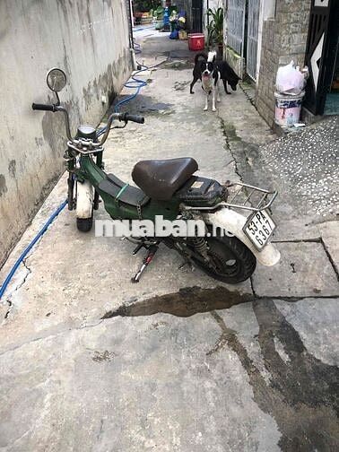 Honda Chaky 79 Xanh lá