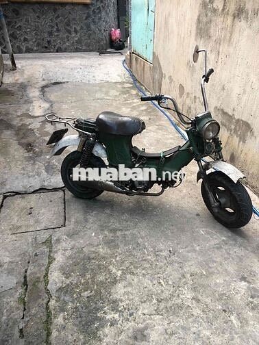 Honda Chaky 79 Xanh lá