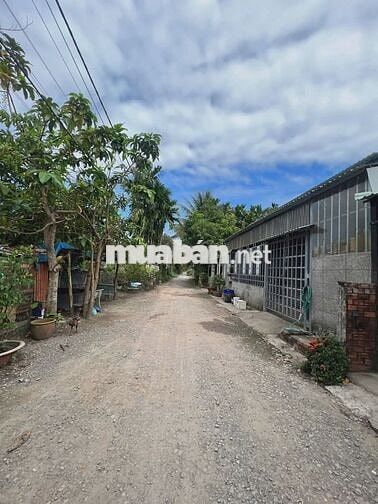 Đất An Sơn gần Vành Đai 3, 10x23m, thổ cư 100m