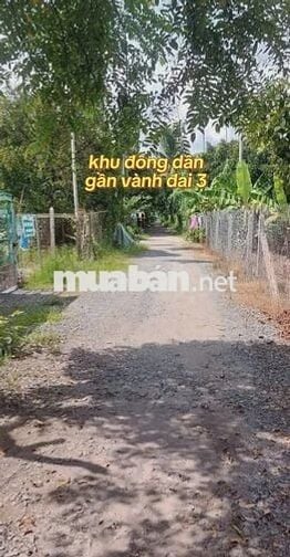 Đất An Sơn gần Vành Đai 3, 10x23m, thổ cư 100m