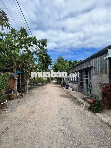 Đất An Sơn gần Vành Đai 3, 10x23m, thổ cư 100m