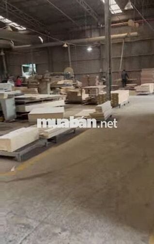 📣TUYỂN NAM/NỮ LÀM XƯỞNG GỖ NỘI THẤT - BẾN CÁT📣