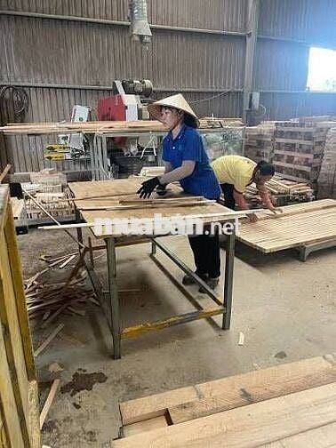 📣TUYỂN NAM/NỮ LÀM XƯỞNG GỖ NỘI THẤT - BẾN CÁT📣
