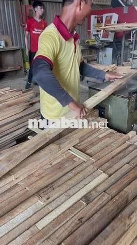 📣TUYỂN NAM/NỮ LÀM XƯỞNG GỖ NỘI THẤT - BẾN CÁT📣