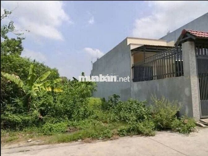 THANH LÝ GẤP LÔ ĐẤT NGAY TAM BÌNH THỦ ĐỨC- DT120M2 SHR CÁCH QL1A 500M