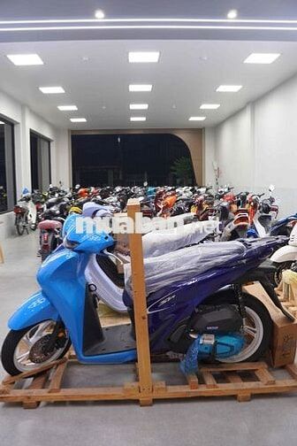 SH Anniversari 40Th Giới hạn 140 xe toàn quốc