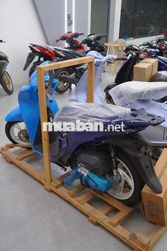 SH Anniversari 40Th Giới hạn 140 xe toàn quốc