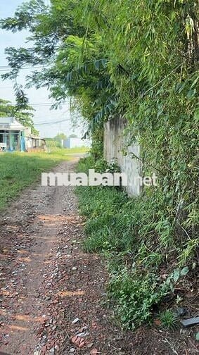 BÁN LÔ ĐẤT NHÀ VƯỜN SIÊU KHỔNG LỒ 1.740M2 BÀ ĐIỂM 4