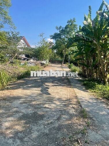 NHỈNH 1 TỈ - ĐẤT HOÀ TIẾN DT 170M ĐƯỜNG BÊ TÔNG 5M. SÁT UỶ BAN XÃ
