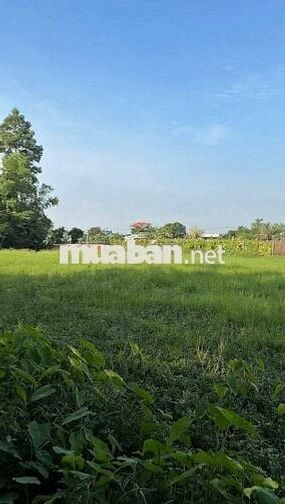 BÁN LÔ ĐẤT NHÀ VƯỜN SIÊU KHỔNG LỒ 1.740M2 BÀ ĐIỂM 4