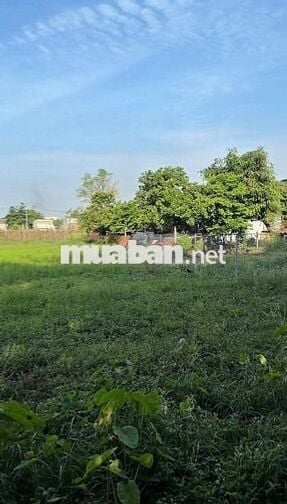 BÁN LÔ ĐẤT NHÀ VƯỜN SIÊU KHỔNG LỒ 1.740M2 BÀ ĐIỂM 4
