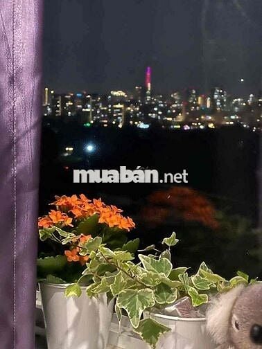 Chính chủ cho thuê ch 3pn, full nội thất, view 81