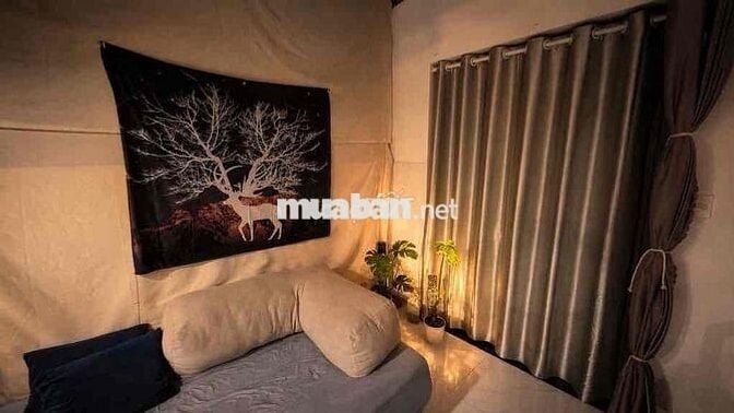 🎁Cho thuê nhà Đường Lê Đức Thọ P16 Gò Vấp 4m❌10m 2pn 2wc full nội thất