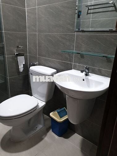 Chính chủ cho thuê Green River 2PN 2WC giá 11tr đầy đủ nội thất quận 8