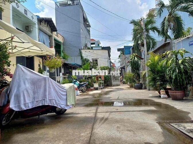🎁Cho thuê 79/ Thống Nhất P11 Gò Vấp 4m❌16m 3pn 2wc gần BV Hồng Đức