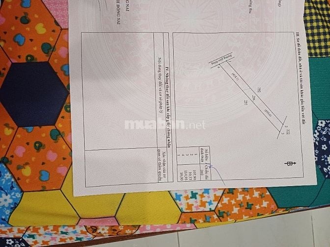 ĐẤT HUYỆN XUÂN LỘC GẦN SB LONG THÀNH
