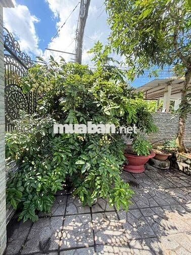 Nhà sân vườn 260m2 gần ĐH Tây Đô