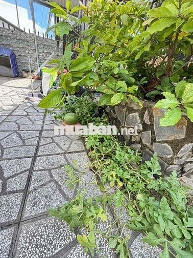 Nhà sân vườn 260m2 gần ĐH Tây Đô