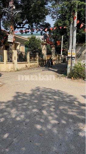 Chính chủ bán đất xã Tự Nhiên, Thường Tín, MT 5.5m, 3 mặt ngõ.