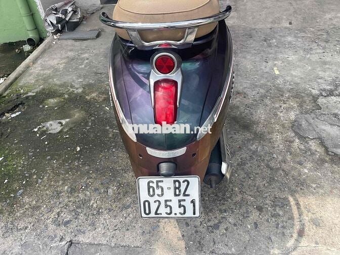 Peugeot Django 2022 Tím Pháp