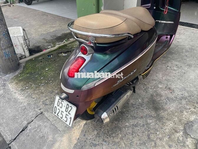 Peugeot Django 2022 Tím Pháp