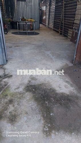 Cần cho thuê nhà tôn làm kho hoặc xưởng