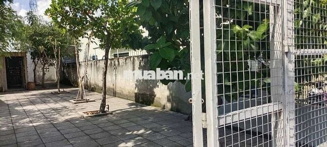 Cho thuê mặt bằng đường 6m kinh doanh tự do 