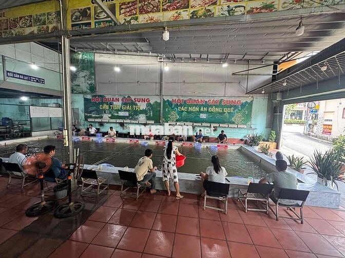 Nhà có việc - cần sang hồ câu lượng khách đang ổn định