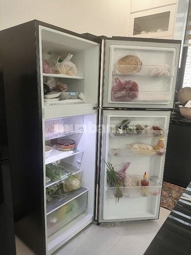 ❄️ THANH LÝ TỦ LẠNH LG LTB31BLM 315 LÍT ❄️