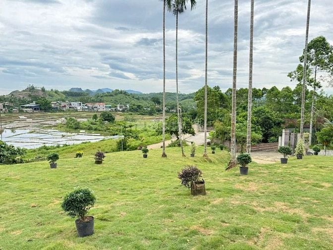 CẦN BÁN LÔ ĐẤT NGHỈ DƯỠNG 1961M VIEW CÁNH ĐỒNG