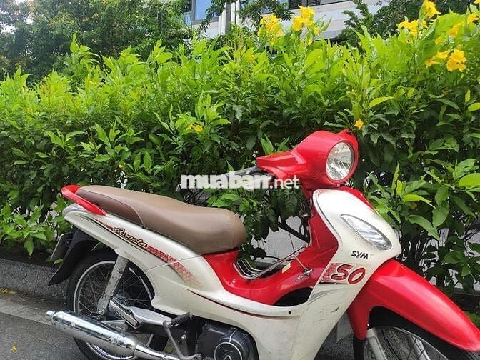 Sym Angela 50 0 cần bằng lái, có đề, máy rất khá