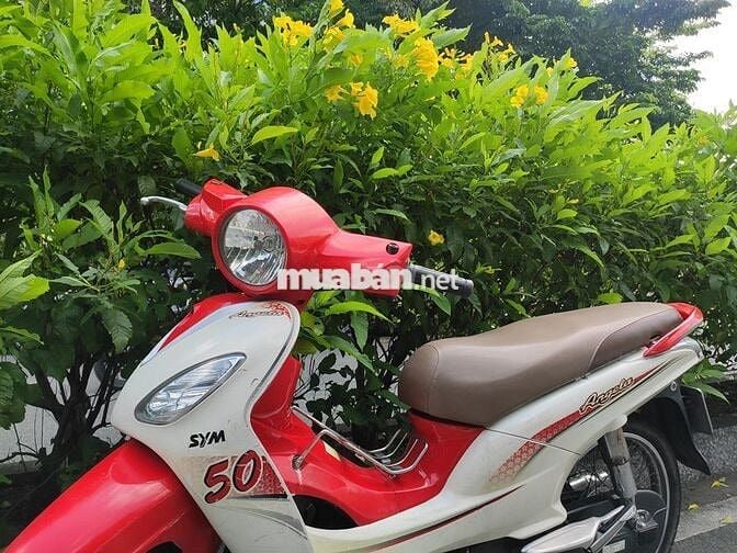 Sym Angela 50 0 cần bằng lái, có đề, máy rất khá