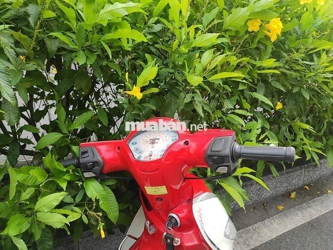 Sym Angela 50 0 cần bằng lái, có đề, máy rất khá