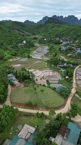 CẦN BÁN LÔ ĐẤT NGHỈ DƯỠNG 1961M VIEW CÁNH ĐỒNG