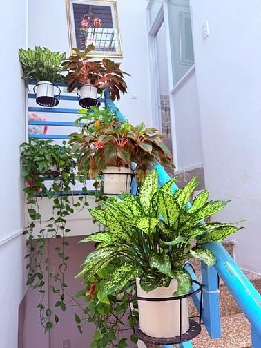 Sang Nhượng Mặt Bằng Spa Mặt Tiền Yên Đỗ, Bình Thạnh - Đầy Đủ Thiết Bị