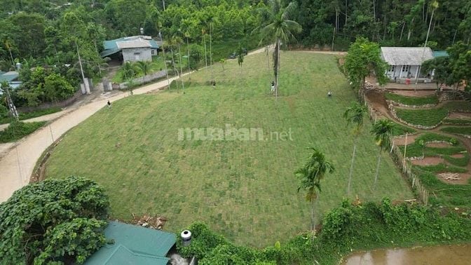 CẦN BÁN LÔ ĐẤT NGHỈ DƯỠNG 1961M VIEW CÁNH ĐỒNG