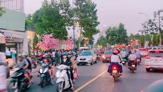 CHO THUÊ ĐẤT HOẶC NHÀ MẶT TIỀN LÊ THỊ HÀ HÓC MÔN 