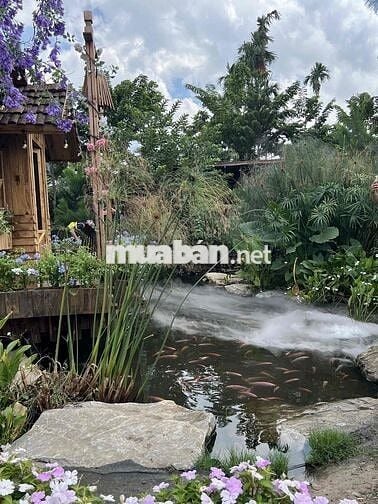 Cho thuê kho xưởng rộng, 600m APD Q11