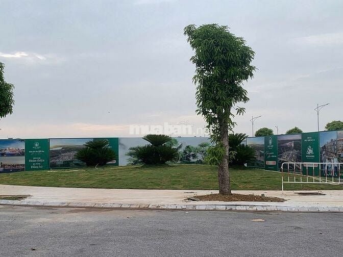 Bán đất dự án đất việt green park