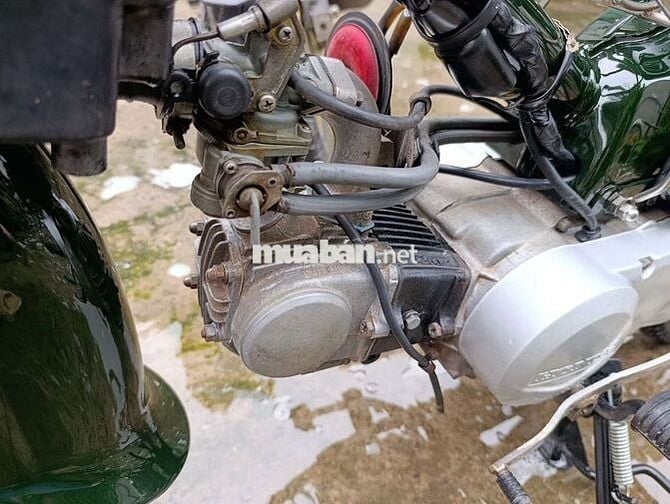 Honda Super Cub 50 Xanh