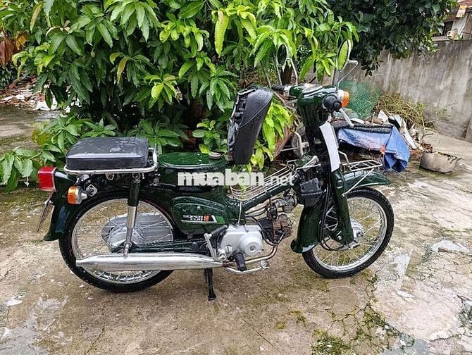 Honda Super Cub 50 Xanh