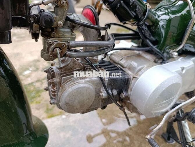 Honda Super Cub 50 Xanh