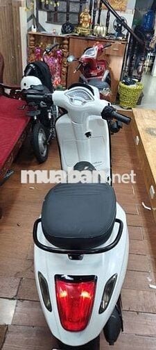  Vespa Primavera 2015 BSTP ký giấy sag tên