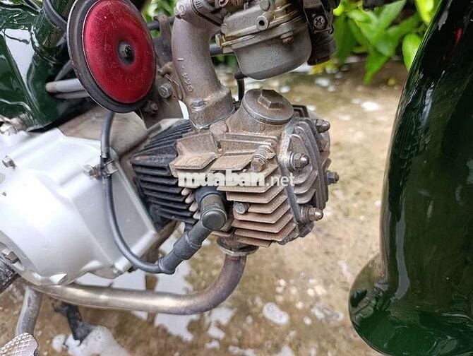 Honda Super Cub 50 Xanh