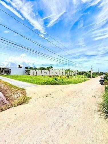 đất thổ 5.5x20m 385tr đường 4m Tân Trụ, Long An