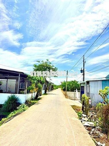 đất thổ 5.5x20m 385tr đường 4m Tân Trụ, Long An