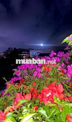 💥 THUÊ NHÀ TRUNG TÂM – TẬN HƯỞNG VIEW PHÁO HOA TRỰC DIỆN 💥