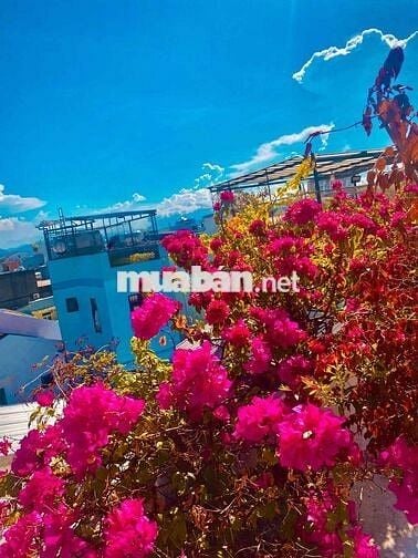 💥 THUÊ NHÀ TRUNG TÂM – TẬN HƯỞNG VIEW PHÁO HOA TRỰC DIỆN 💥