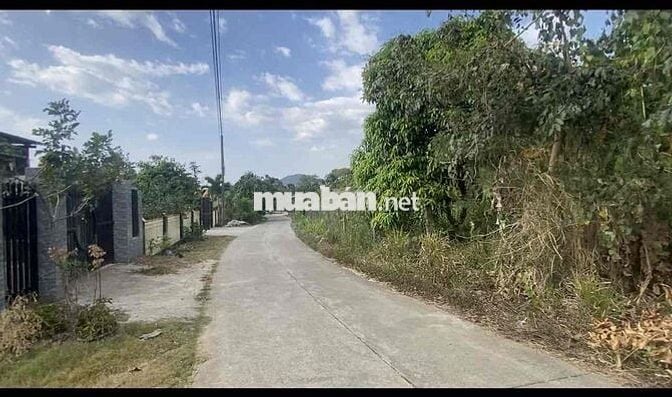 [ TÂN PHÚ-ĐỒNG NAI] 1000m2 CẦN BÁN ĐƯỜNG XE HƠI