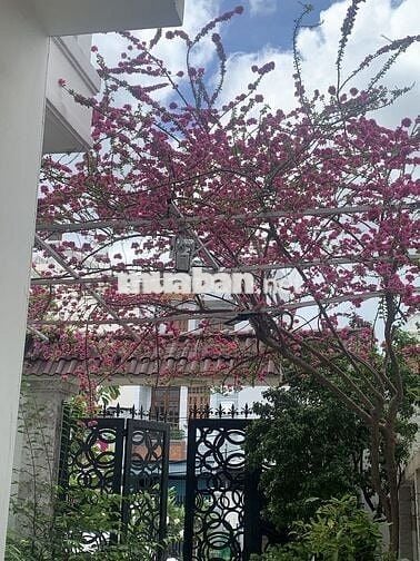 Mtiền 10m, đchỉ: số 8 đsố 2 kdc Nhật Minh (đường 156 An Dương Vương)